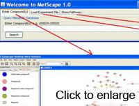 MetScape Plugin Screen Shot